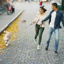 SpeedToronto Dating