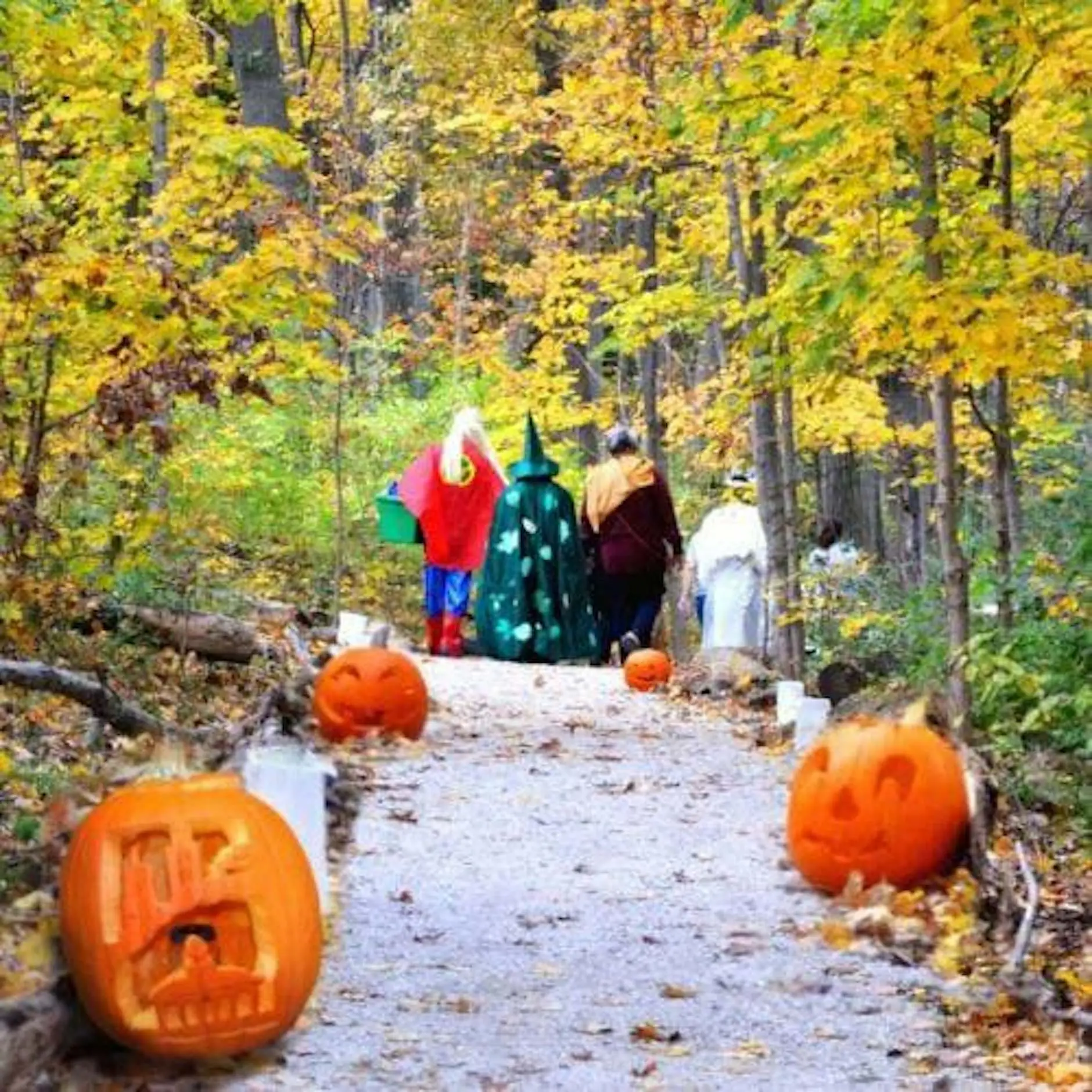 Singles Walk/Hike (Dog friendly) Singles Walk/Hike (Dog friendly)