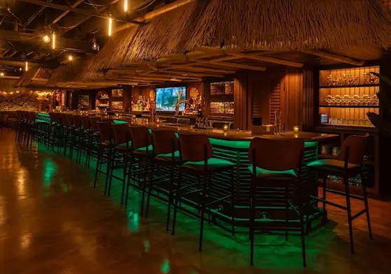 Ann Arbor Speed Dating for Singles Age 40s/50s MI at Huna Tiki Bar — photo 6