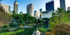 Central Park - Singles Date Walk