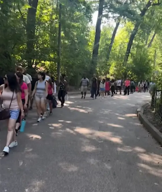 Christian Singles 'Walk N Mingle' - High Park - Sun. Nov. 1st (3-6pm). — photo 4