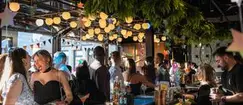 Singles Mixer in St. Petersburg FL!
