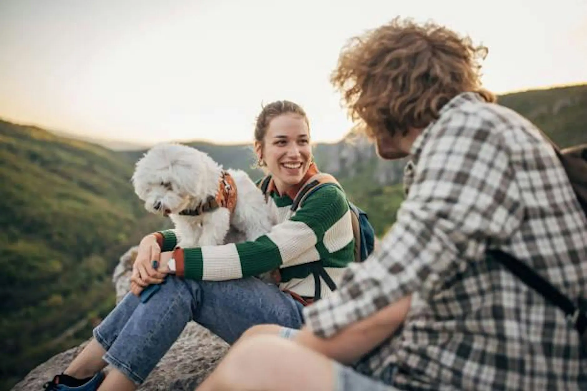 Singles Dog hike- Tilden Park *No dog required* Singles Dog hike- Tilden Park *No dog required*