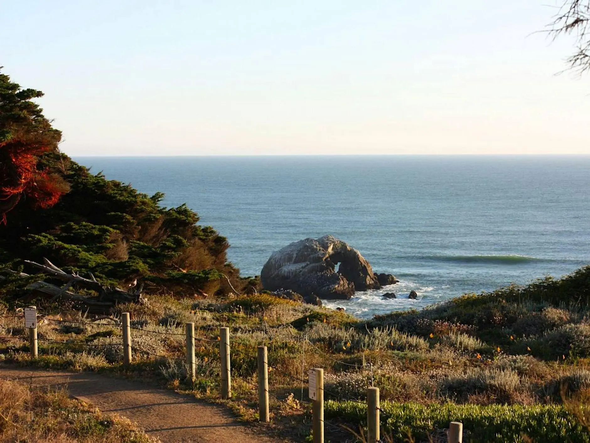 LGBTQ+ Singles Hike (San Francisco) LGBTQ+ Singles Hike (San Francisco)