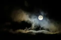 Full Moon Singles Walk - the Bull Island - 40s to mid 50s Full Moon Singles Walk - the Bull Island - 40s to mid 50s
