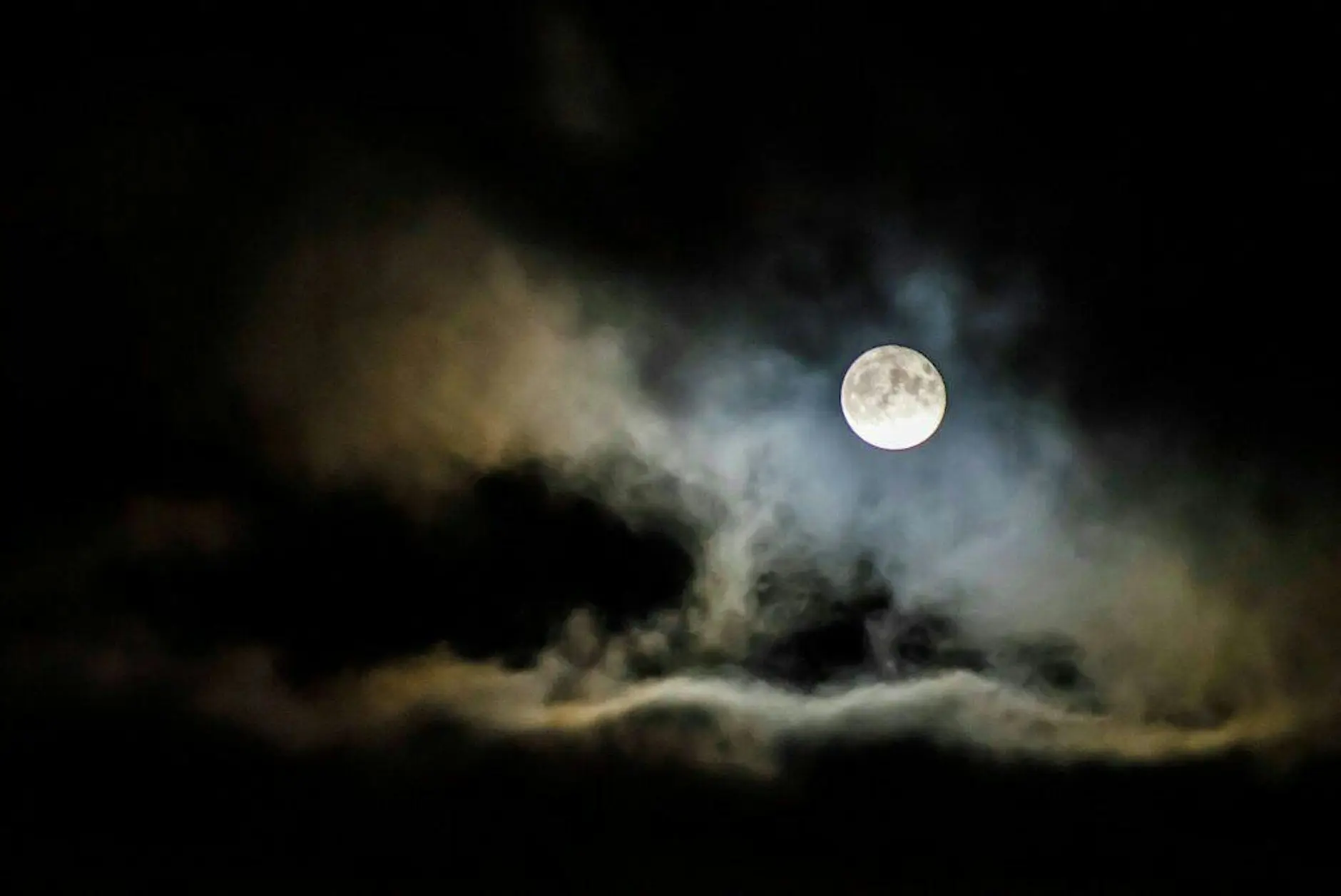 Full Moon Singles Walk - the Bull Island - 40s to mid 50s