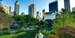 Central Park - Singles Date Walk Central Park - Singles Date Walk