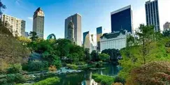 Singles Date Walking in Central Park Singles Date Walking in Central Park
