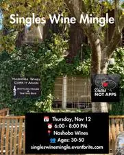 Singles Wine Mingle