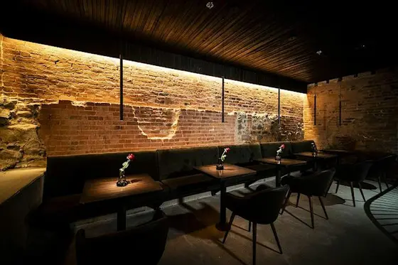 Ann Arbor Speed Dating for Singles Age 30s/40s Michigan at The Circ Bar — photo 6